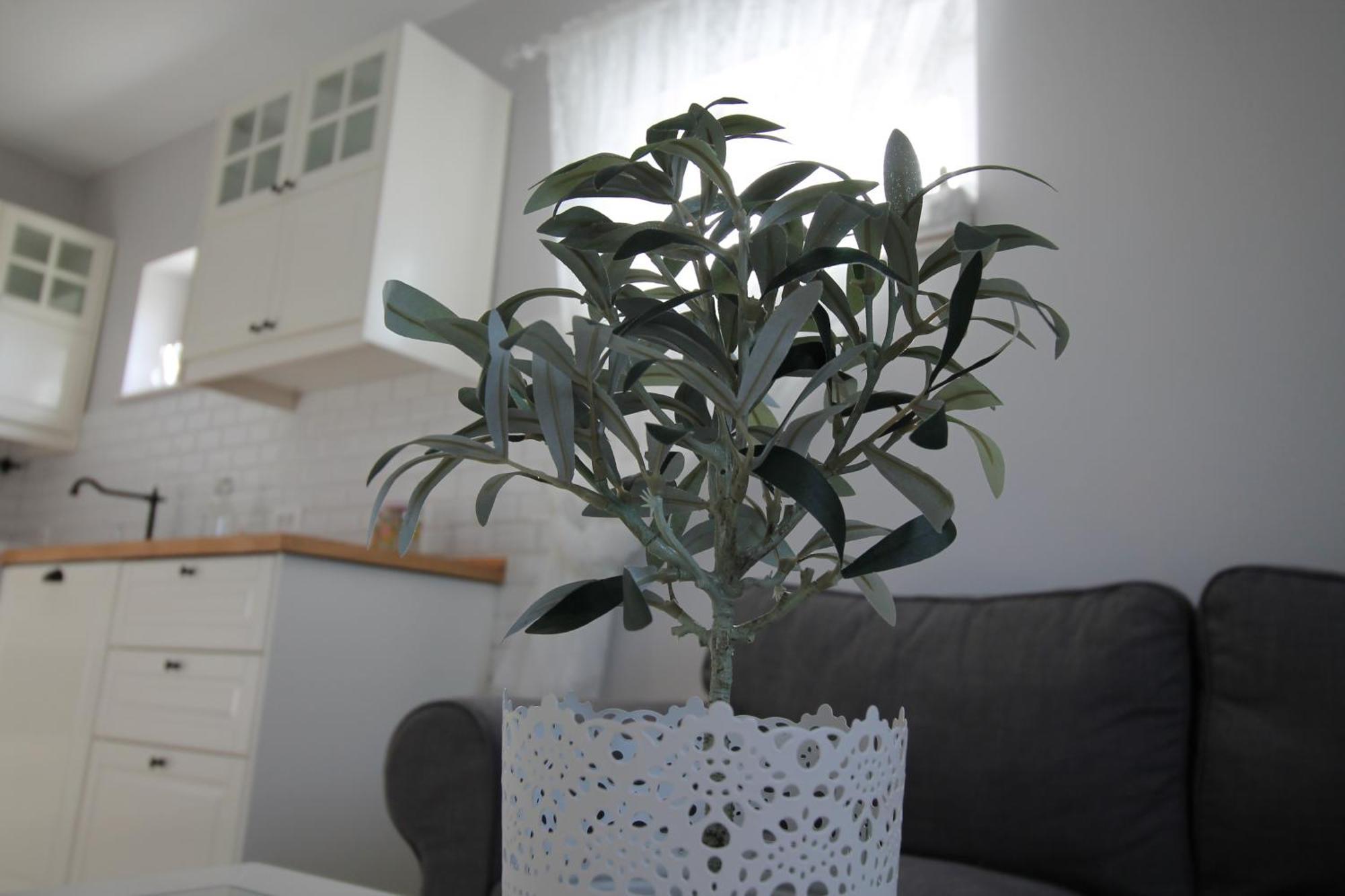 Apartments Tonka Trogir Pokoj fotografie
